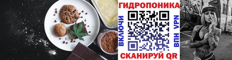 ссылка на мегу ONION  Ачхой-Мартан  Печенье с ТГК марихуана  даркнет сайт 