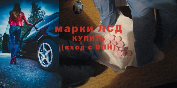 PSILOCYBIN Алзамай