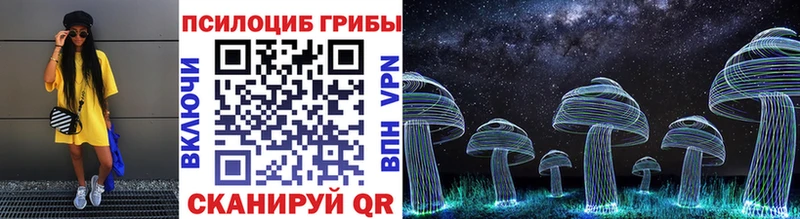 что такое   Ачхой-Мартан  omg ссылка  Галлюциногенные грибы Cubensis 